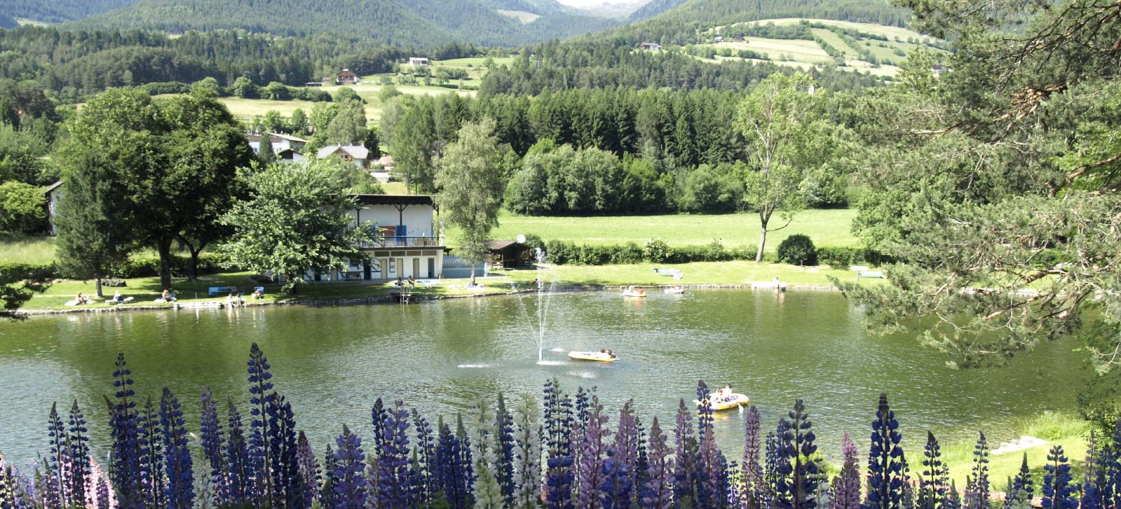 bed and breakfast or apartments pfalzen/falzes in the area Plan de Corones Kronplatz