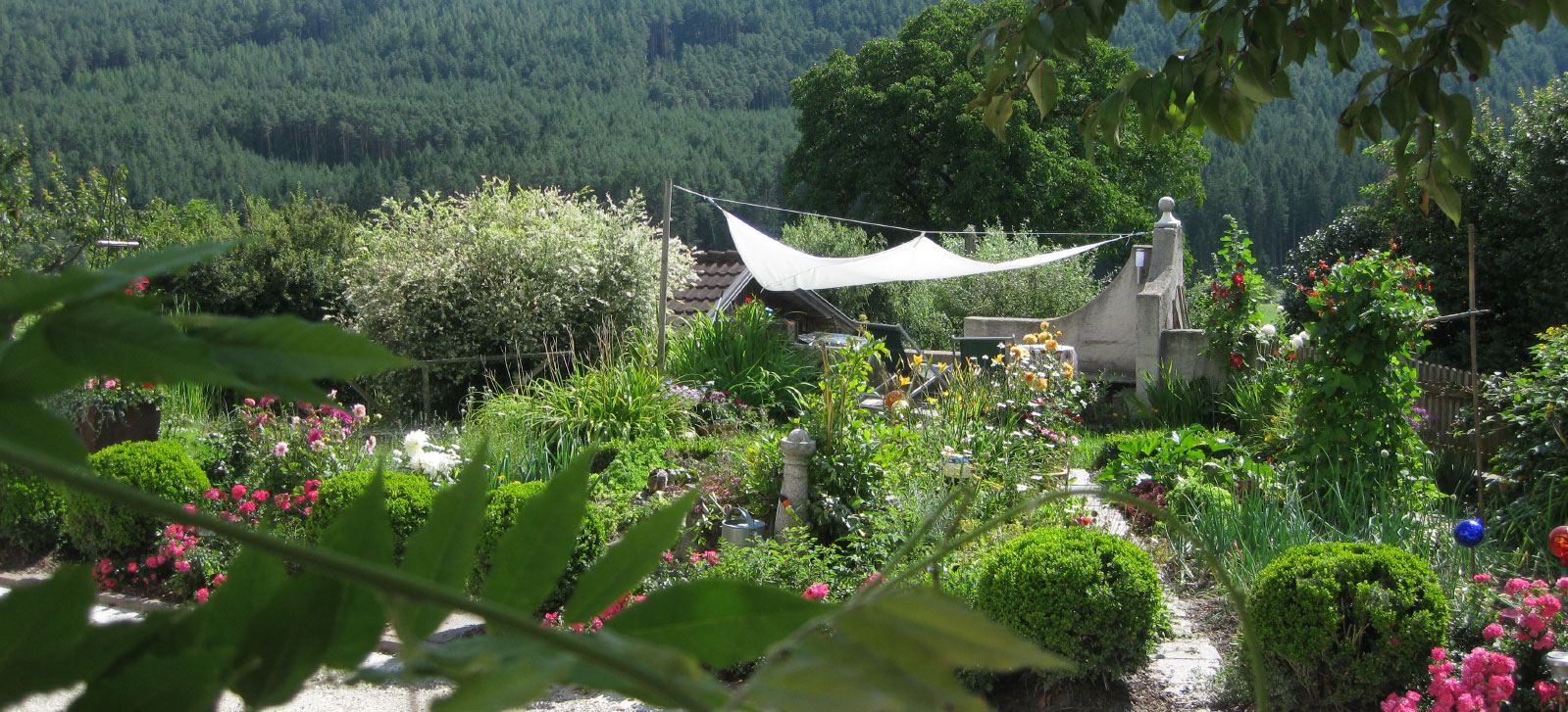 bed and breakfast or apartments pfalzen/falzes in the area Plan de Corones Kronplatz